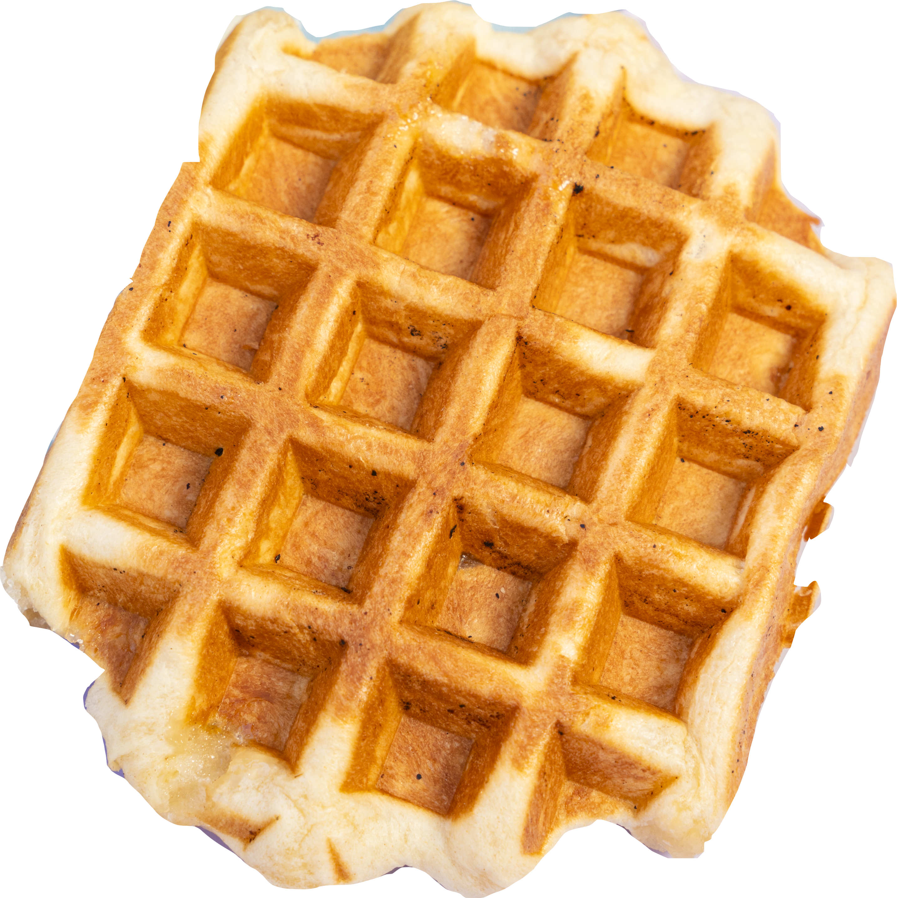 Gaufre salée